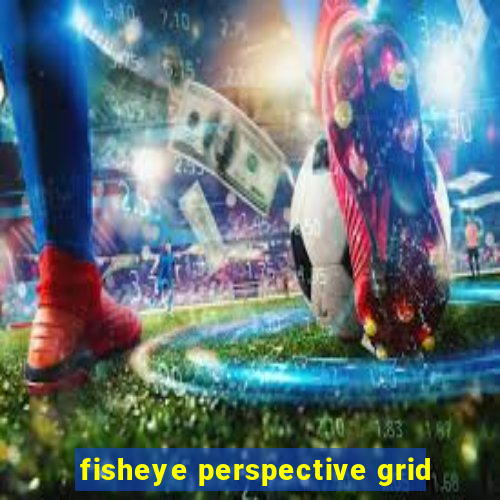 fisheye perspective grid